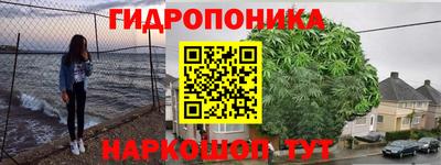гидра Шахты
