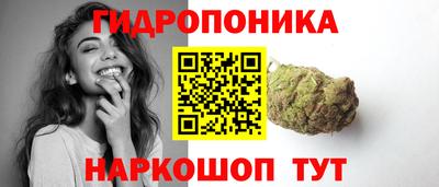 гидра Шахты