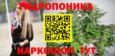 скорость Шелехов