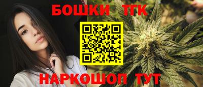 гидра Шахты