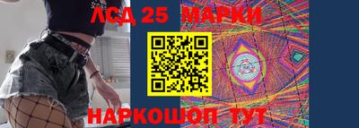 гидра Шахты